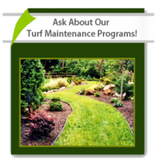 Ask About Our Turf Maintenance Programs!