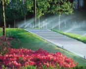 National City CA Sprinkler Repair - Garden Perspective